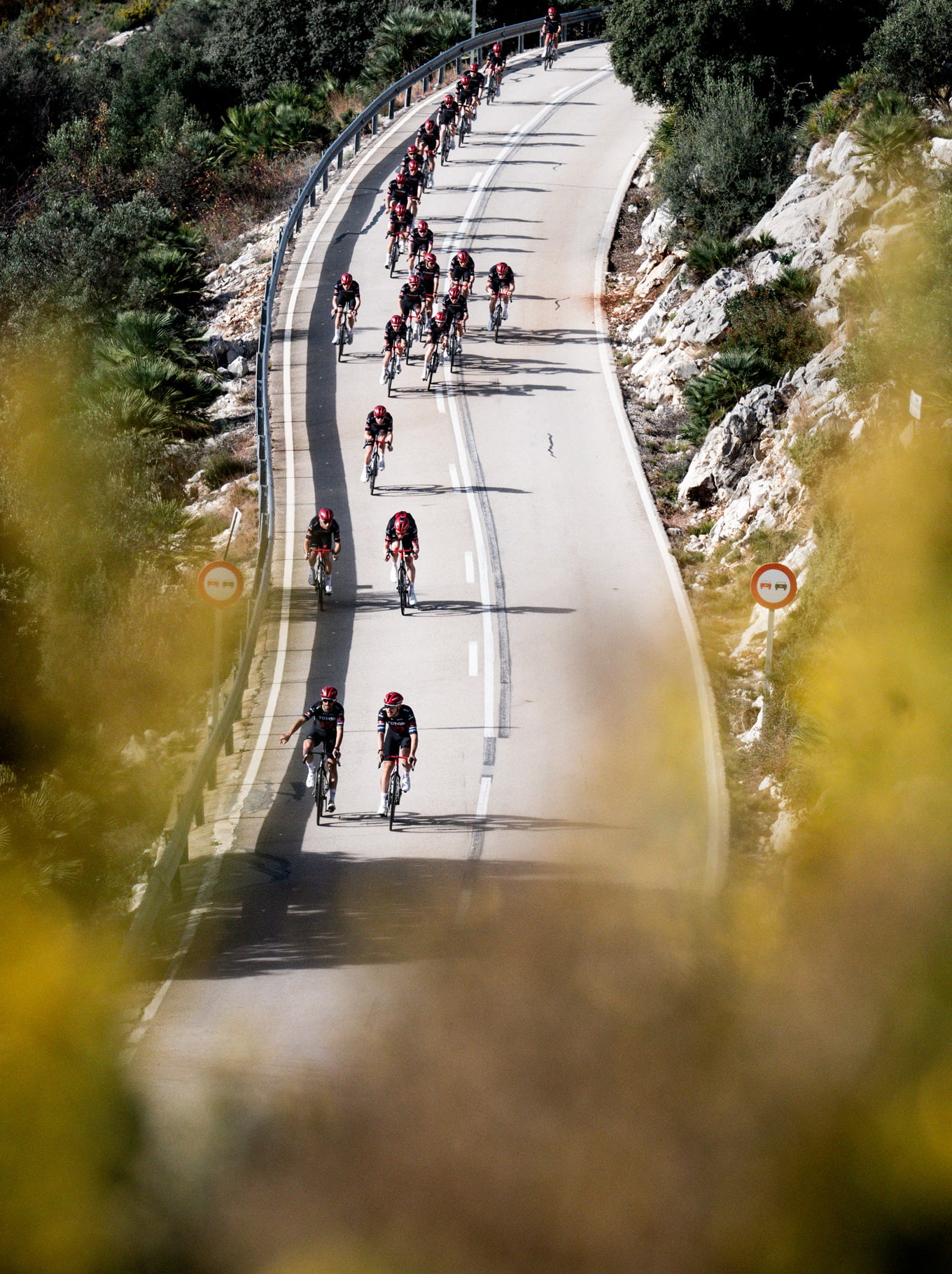 The TUDOR Pro Cycling Team