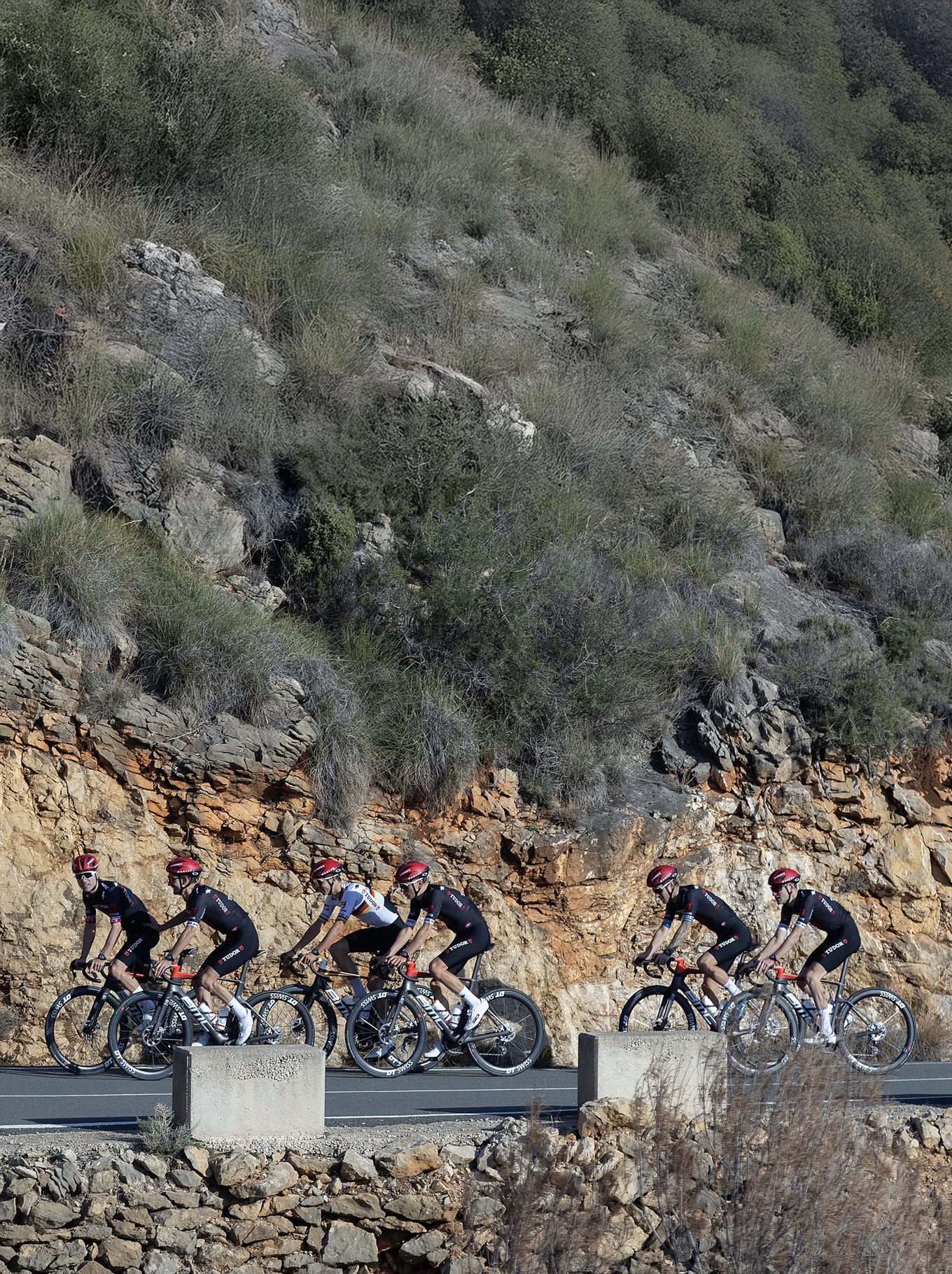 The TUDOR Pro Cycling Team