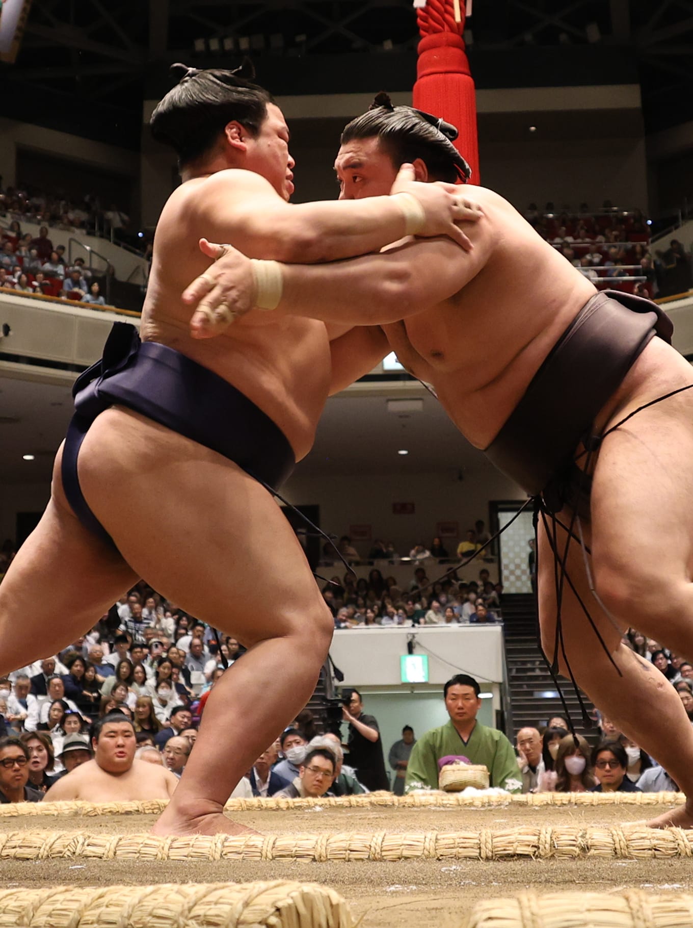 Tudor X The Grand Sumo