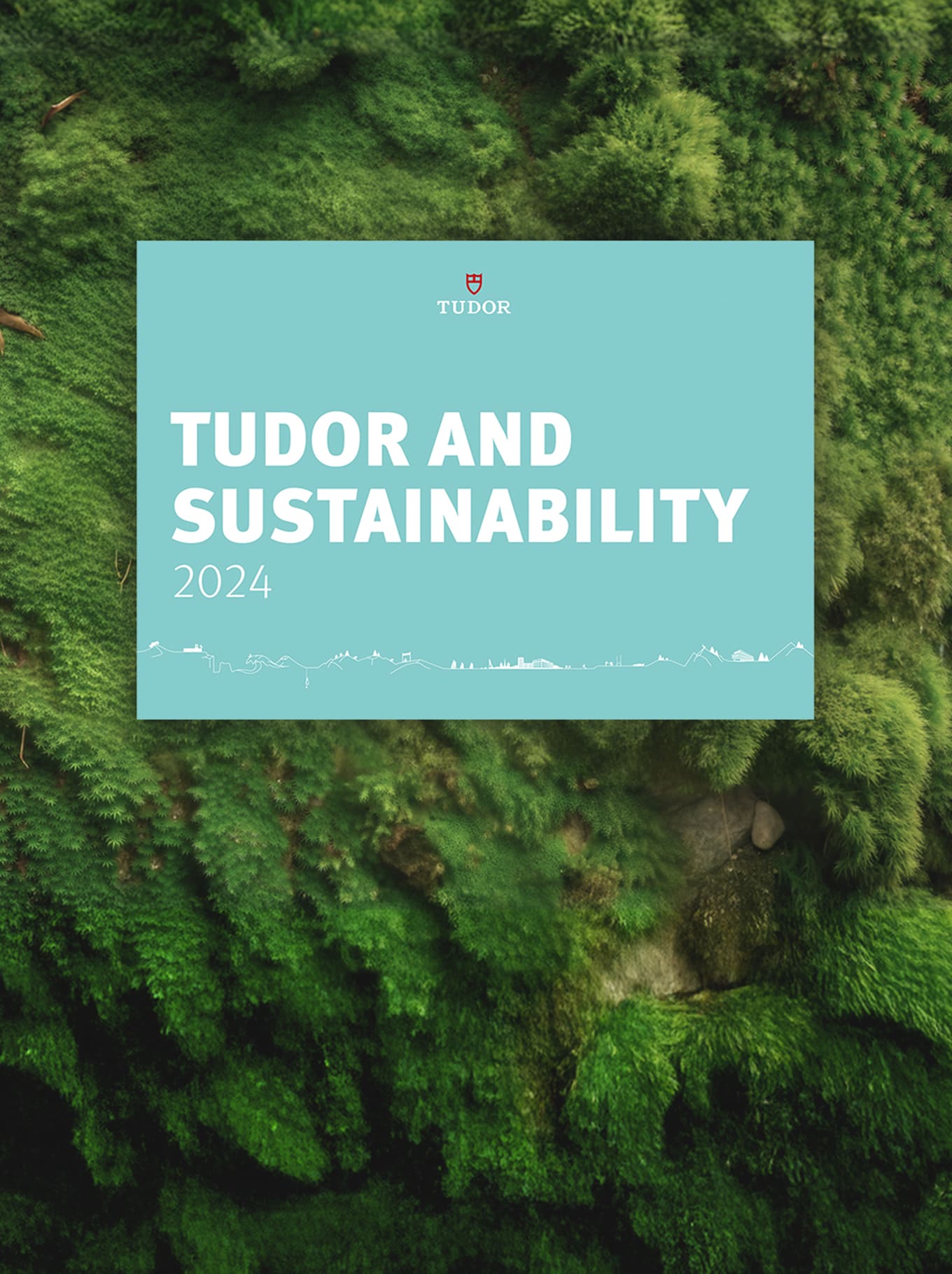 帝舵表制表中心