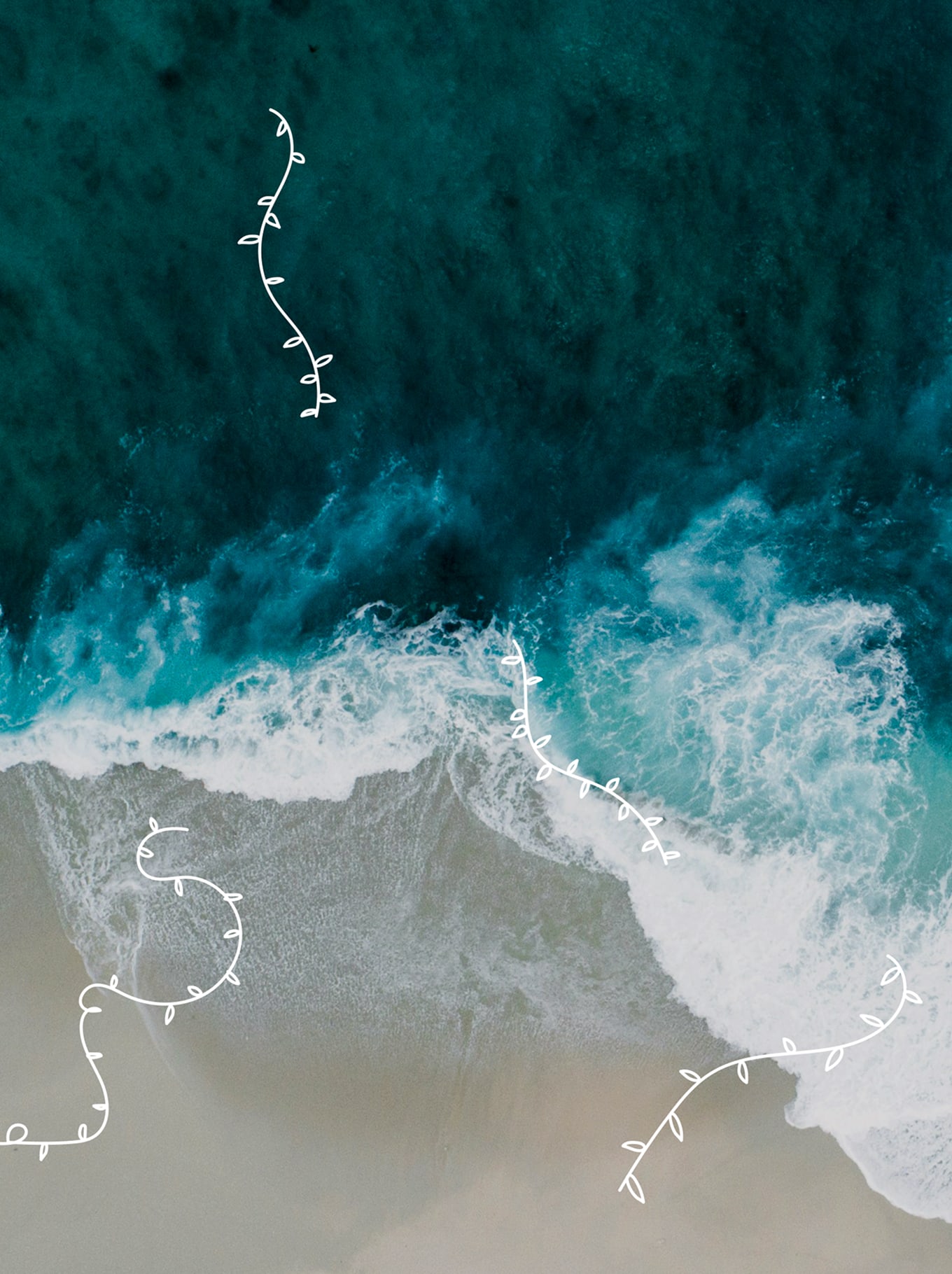 Climate roadmap
