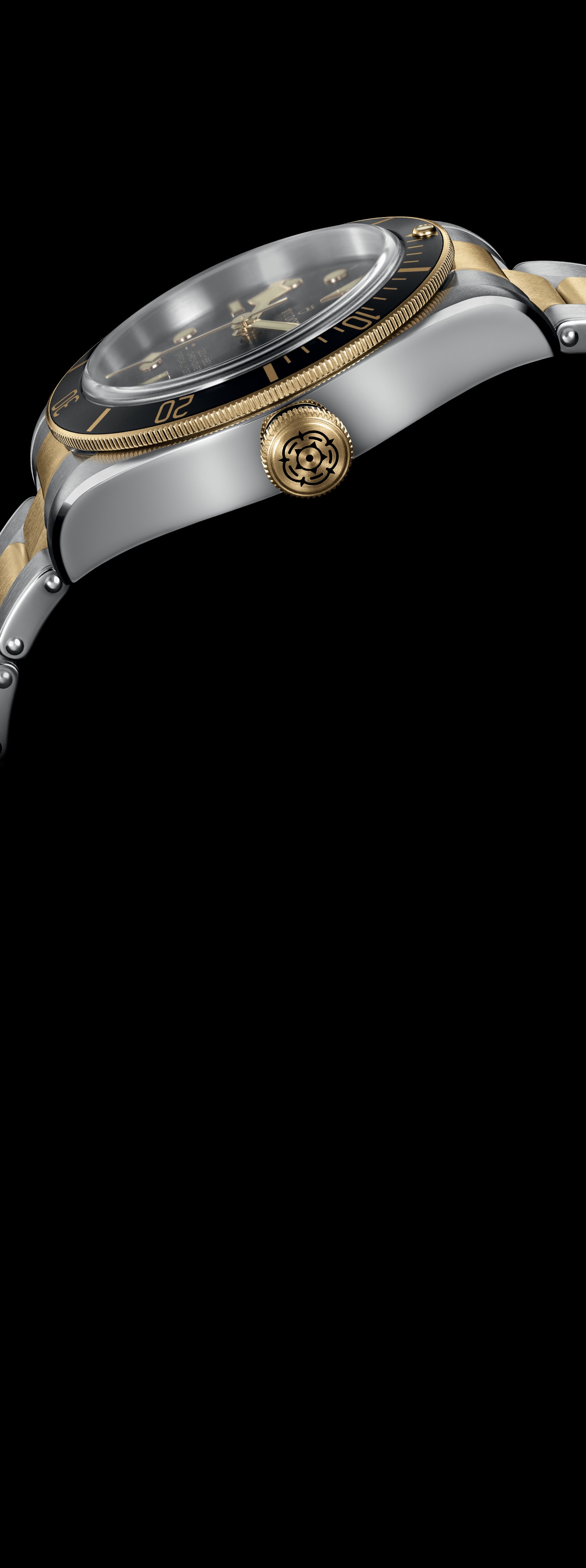 Black Bay with blue bezel