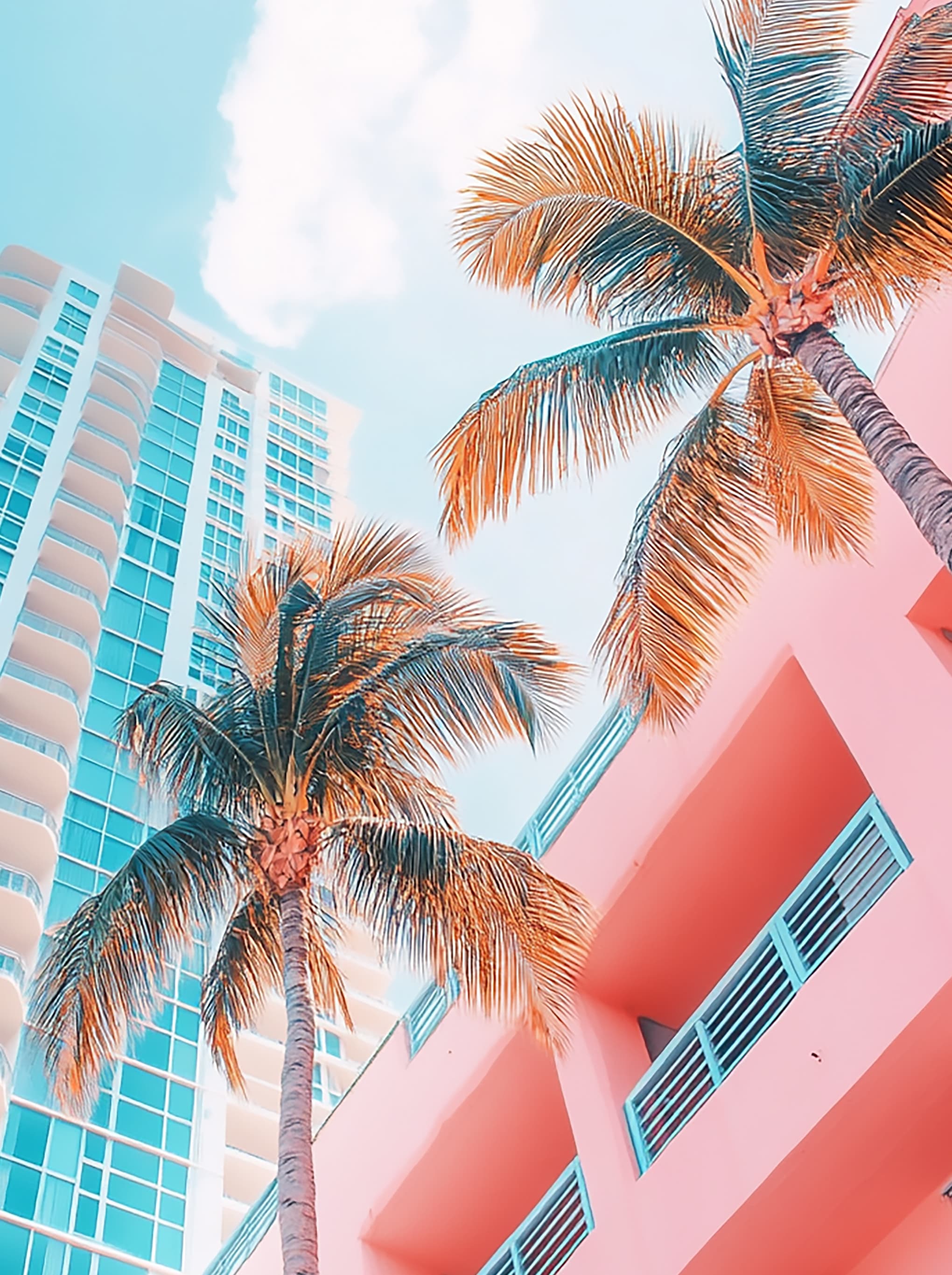 Urban background with palm trees and buildings in Miami style