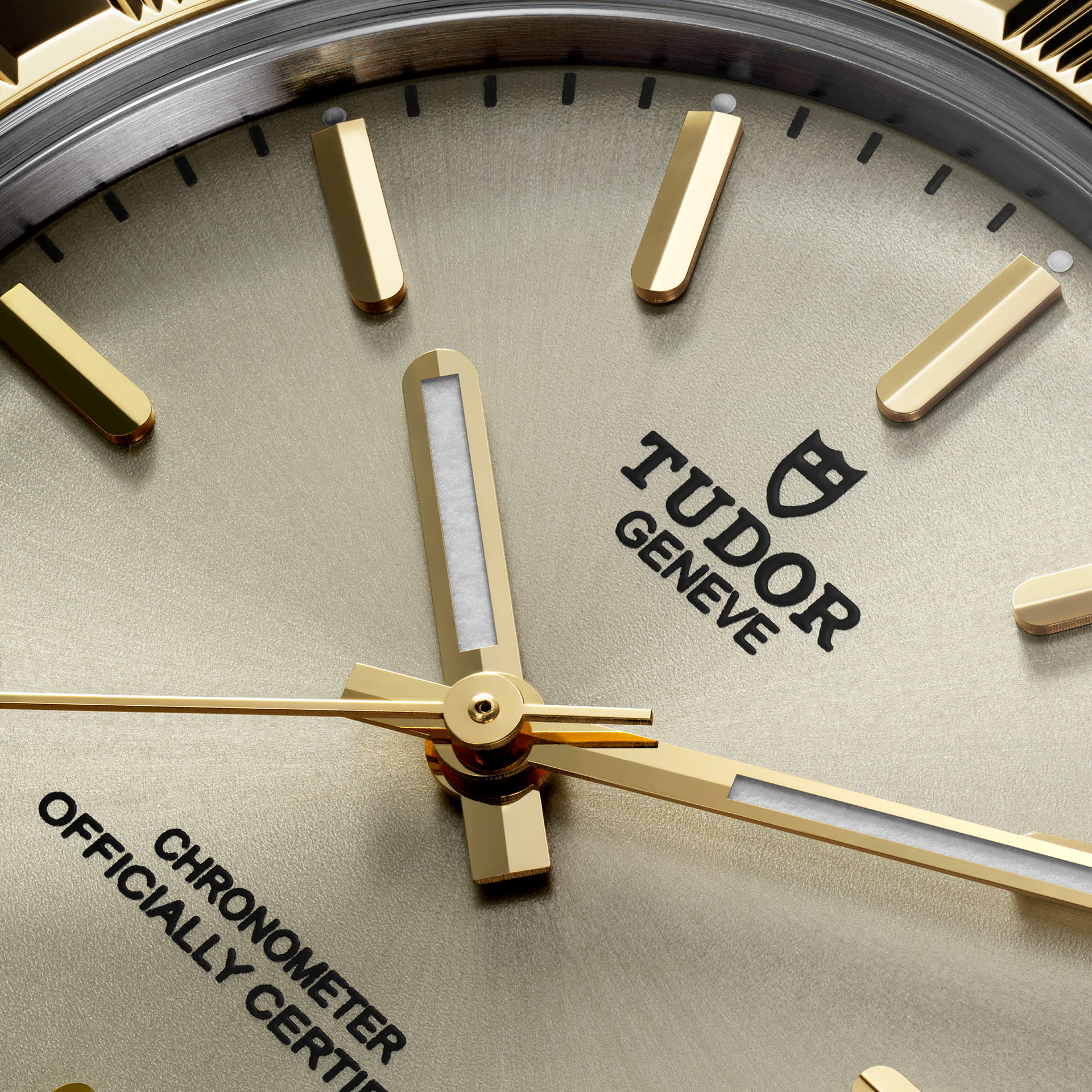 Tudor Royal dial