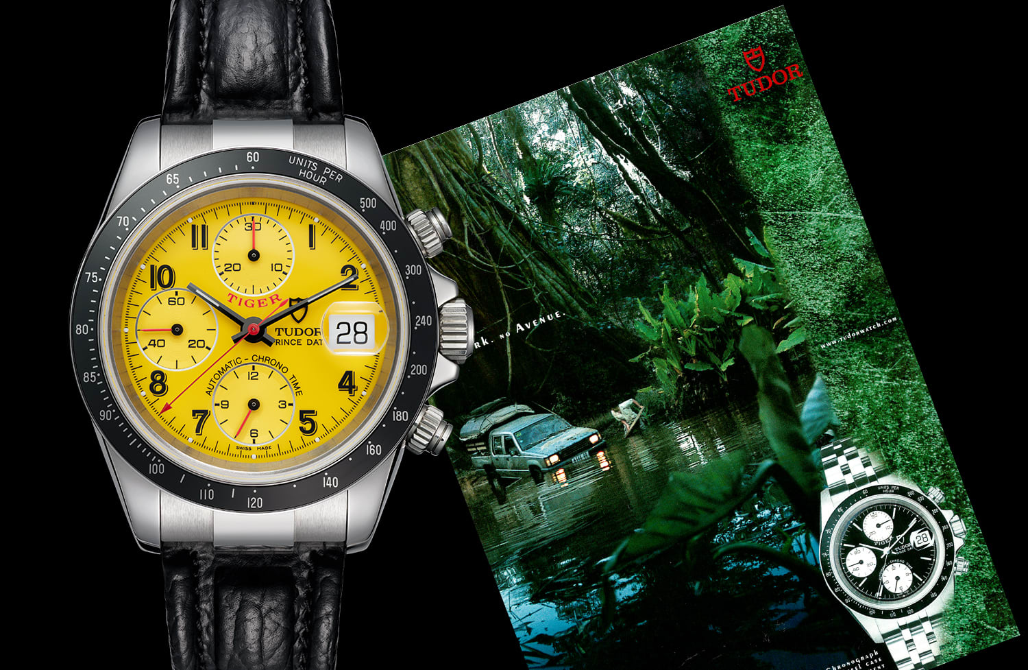 Tudor Prince Date Tiger