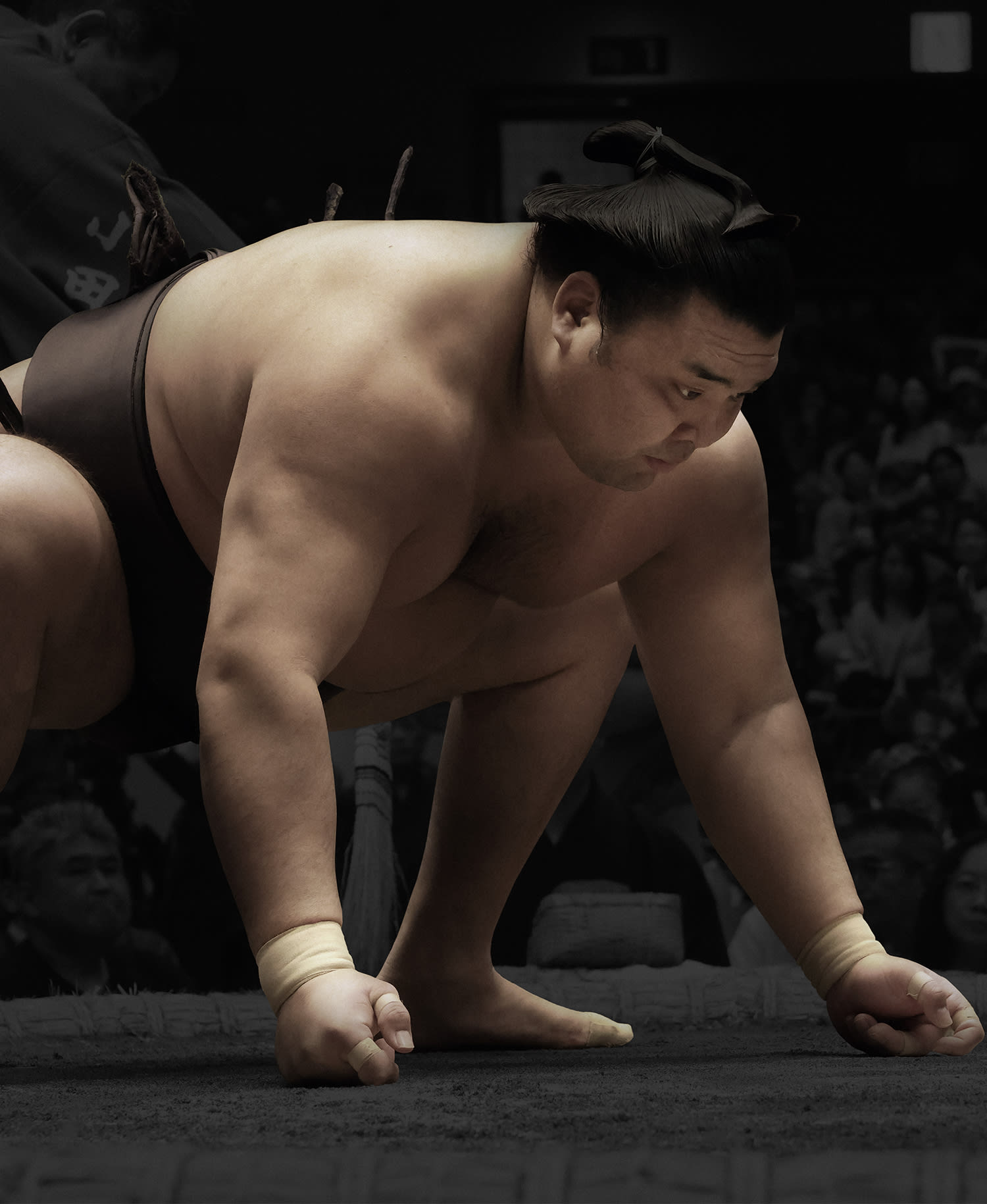 Tudor X The Grand Sumo