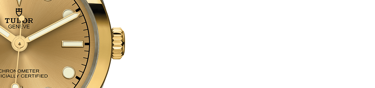 碧湾一型 31黄金钢款