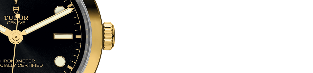 碧湾一型 36黄金钢款
