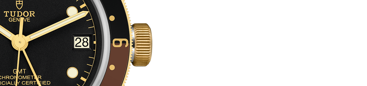Black Bay GMT S&G